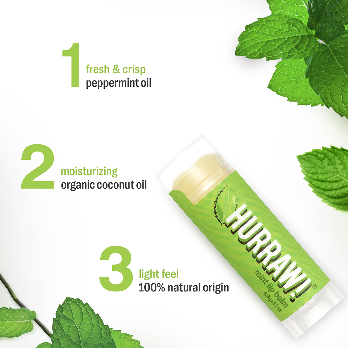 Mint Lip Balm